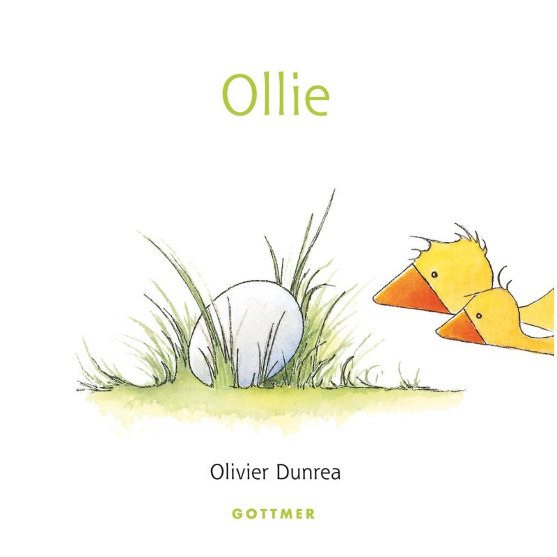 OLLIE (KARTONBOEK) 2+ - 1186x1200 - *0010210428