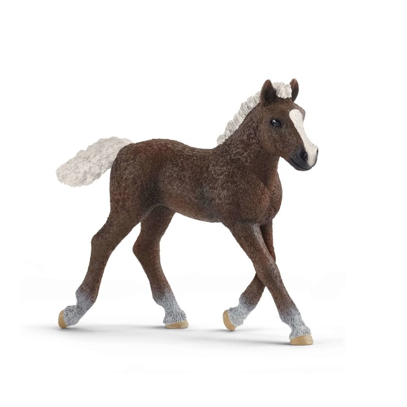 SCHLEICH 13899 ZWARTE WOUD VEULEN - 446 3899 - 446-3899